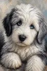 the-love-of-canines