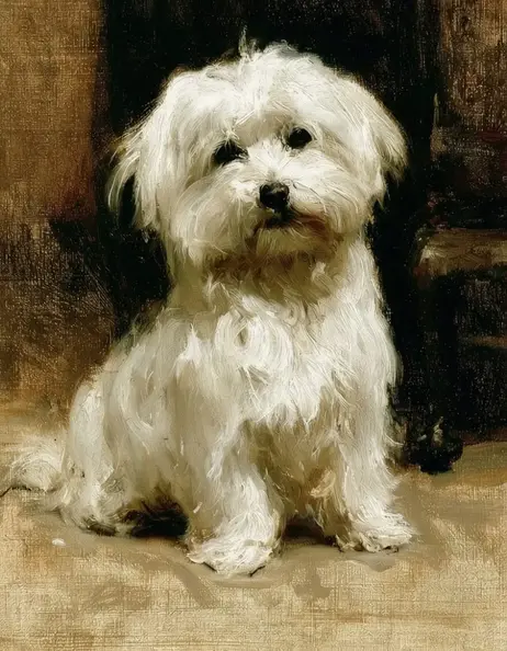 puppy.webp